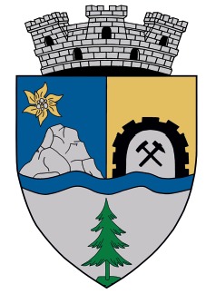 Bran